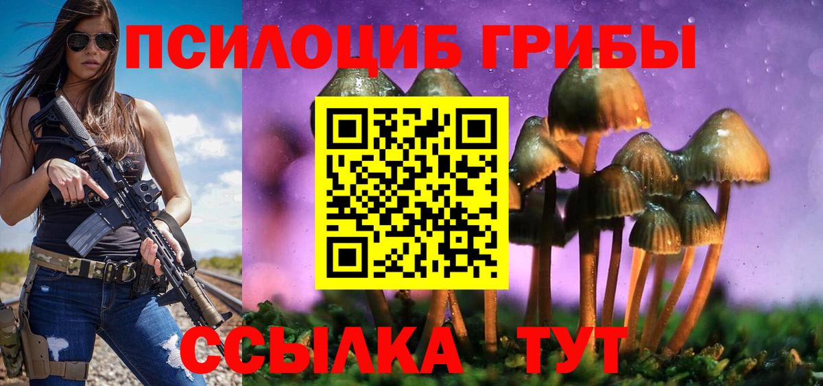 Галлюциногенные грибы Psilocybe  Вход с VPN  Истра 